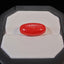 Natural Coral - 11.08 ct.