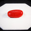 Natural Coral -9.85 ct.