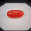 Natural Coral - 12.09 ct.