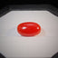 Narural Coral - 8.78 ct.