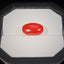 Natural Coral - 6.98 ct.