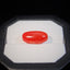 Natural Coral - 10.61 ct.