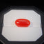 Natural Coral - 7.40 ct.