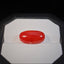 Natural Coral - 10.66 ct.