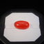 Natural Coral - 10.78 ct.