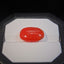 Natural Coral - 10.05 ct.
