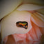 Fire Agate - 3.42 ct.