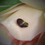 Fire Agate - 2.21 ct.