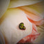Fire Agate - 1.25 ct.
