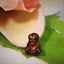 Fire Agate - 4.62 ct.