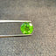 Natural Peridot - 5.54 ct.