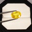 Natural Yellow Sapphire - 5.24 Cts.