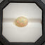 Natural Opal - 4.10 Cts.