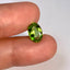 Natural Peridot - 2.38 ct.