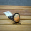 Natural Opal Men Ring