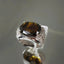 Natural Idocrase Men Ring