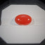 Natural Coral - 6.05 ct.